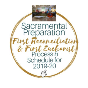 Download Process & Schedule
